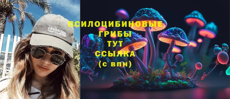 Псилоцибиновые грибы Psilocybe  omg ссылка  Советский 